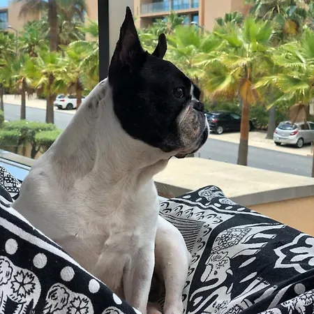 Herdade Dos Salgados *