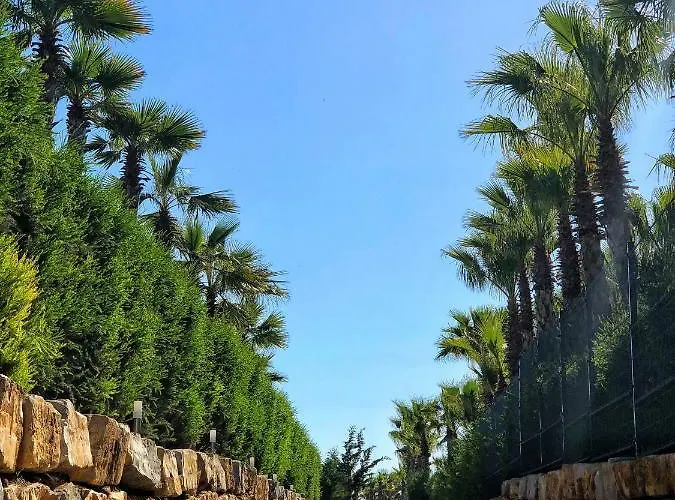 Herdade Dos Salgados アパート アルブフェイラ